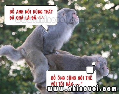 truyencuoinguoilon.xtgem.com