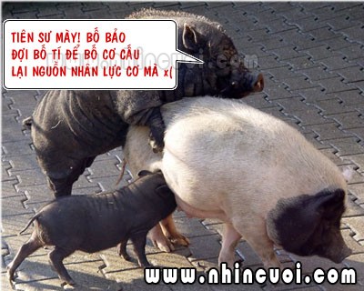 truyencuoinguoilon.xtgem.com