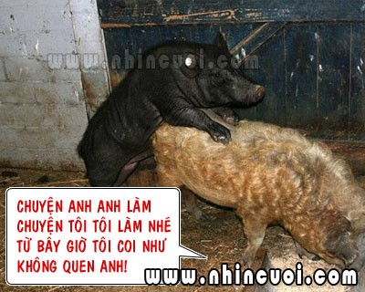 truyencuoinguoilon.xtgem.com