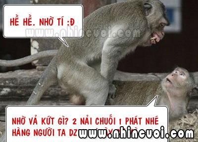 truyencuoinguoilon.xtgem.com