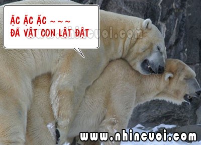truyencuoinguoilon.xtgem.com