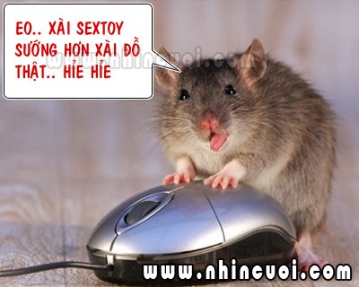 truyencuoinguoilon.xtgem.com